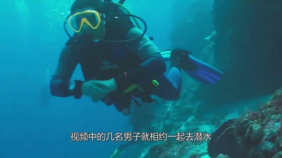 三国志：汉末霸业