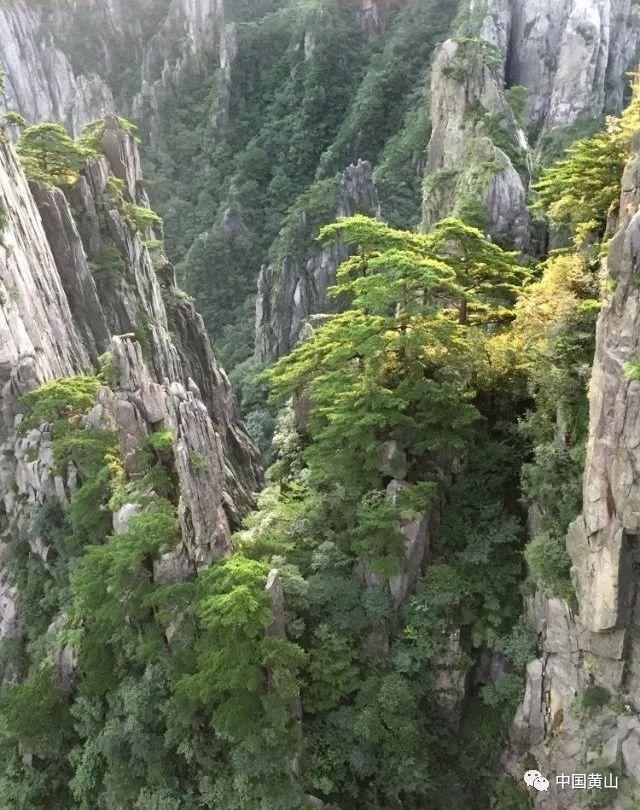 介词后面动名词和名词的区别游戏画面